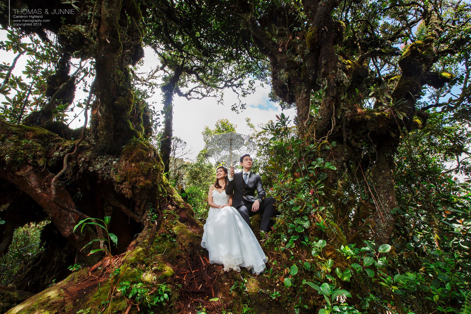 Couple poses at Mossy Forest Cameron Highland